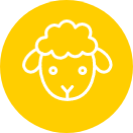 Schaf Icon